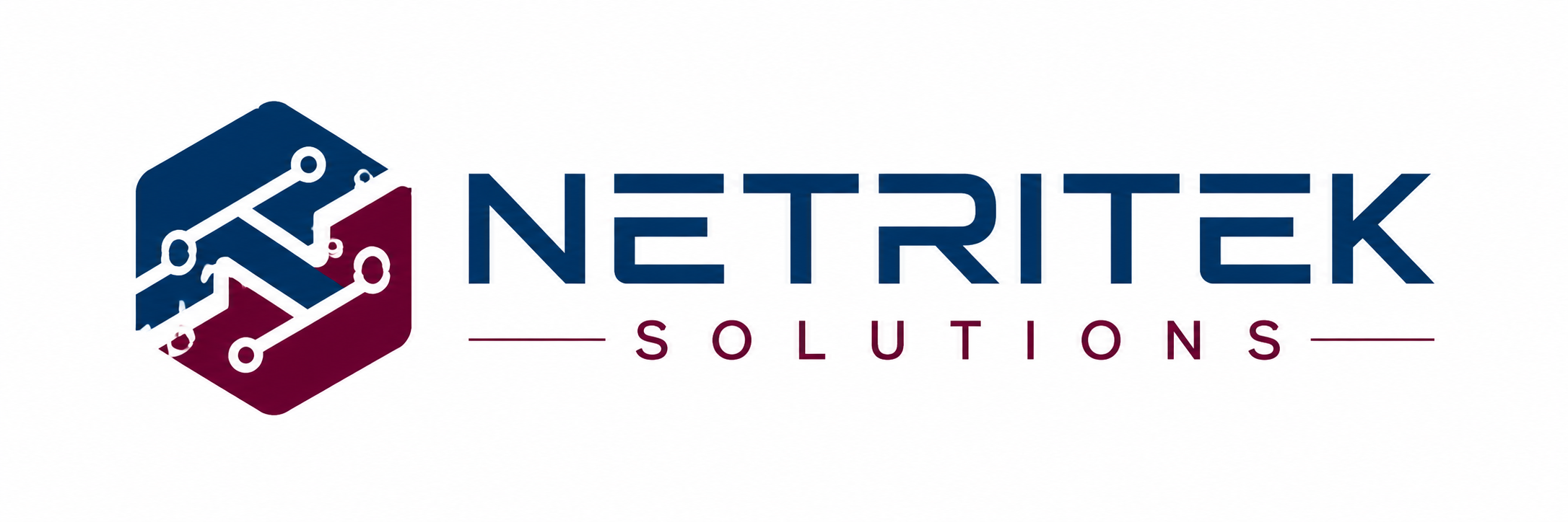 Netritek Solutions